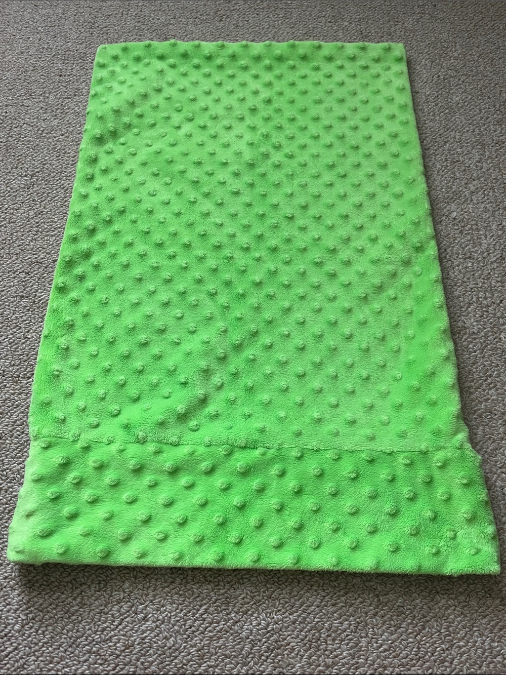 Bright Lime Green Minky Dot Toddler Pillowcase